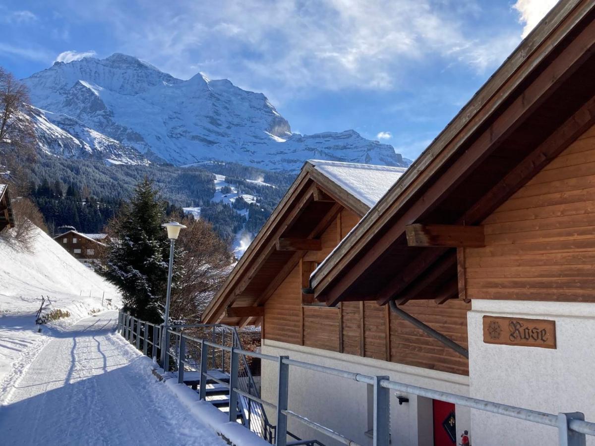 Apartment Rose Studio Y By Interhome Wengen Exteriör bild